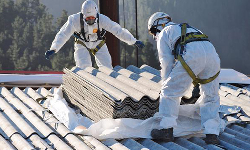 Asbestos Removal Service